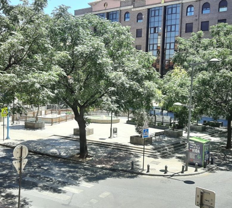 Residencia Femenina Socrates10