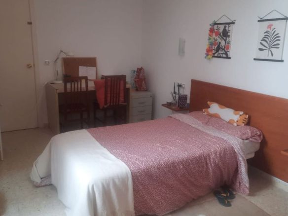 Habitación individual grande Residencia Campus Cartuja