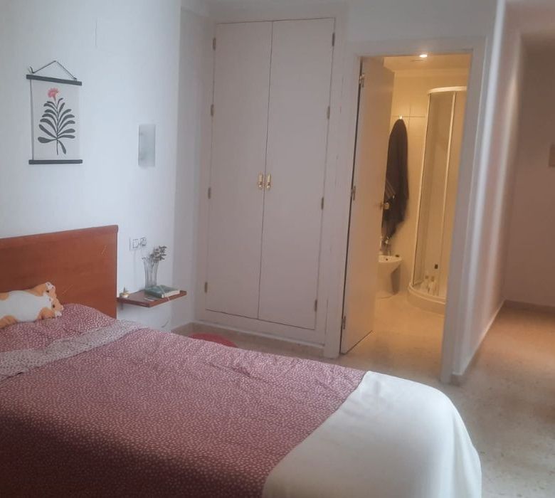 Habitación individual grande Residencia Campus Cartuja
