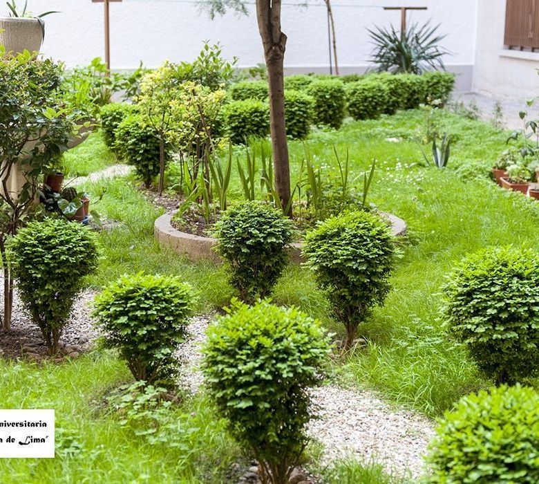 Residencia Universitaria Santa Rosa de Lima