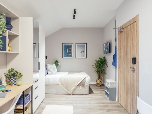 Residencia Universitaria Novel Palm Studios