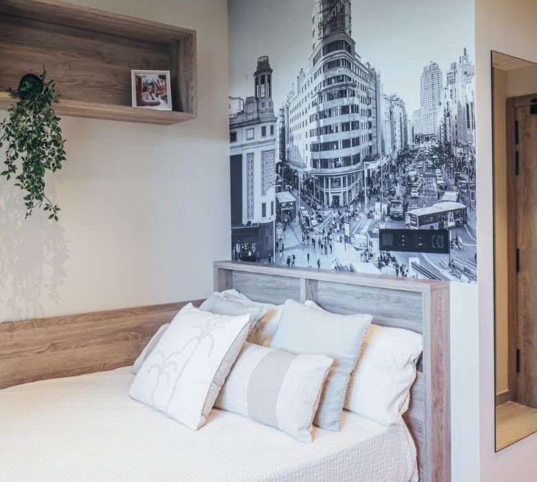 Residencia de Estudiantes Collegiate Madrid Chamartin