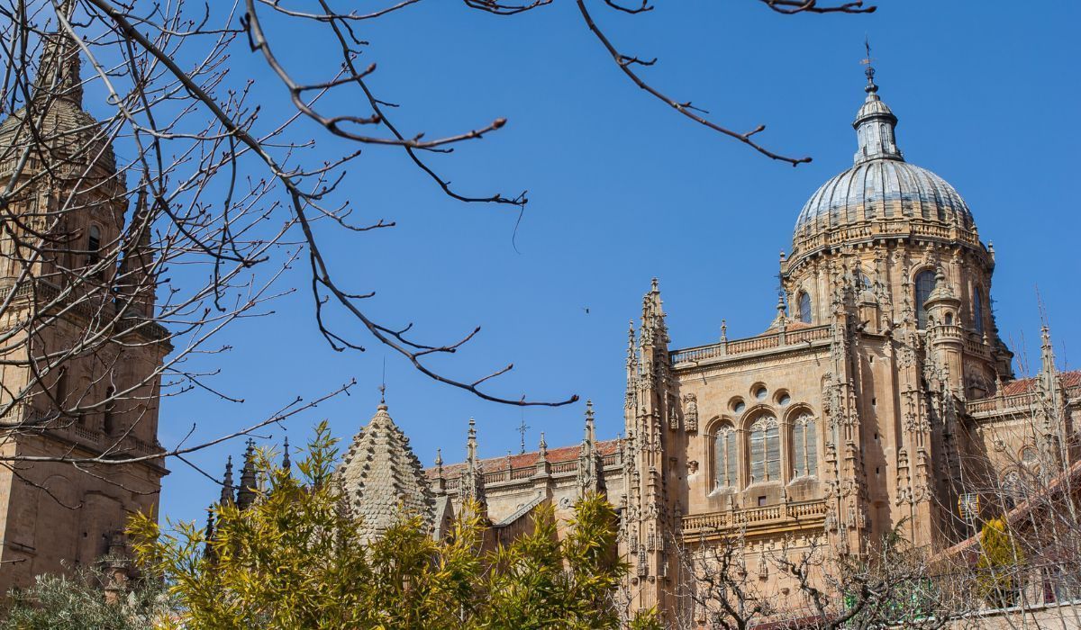Mejores restaurantes en Salamanca para estudiantes
