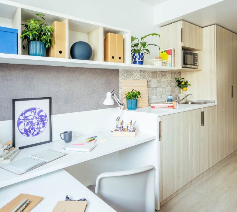 Residencia de estudiantes Camplus Salamanca Platina