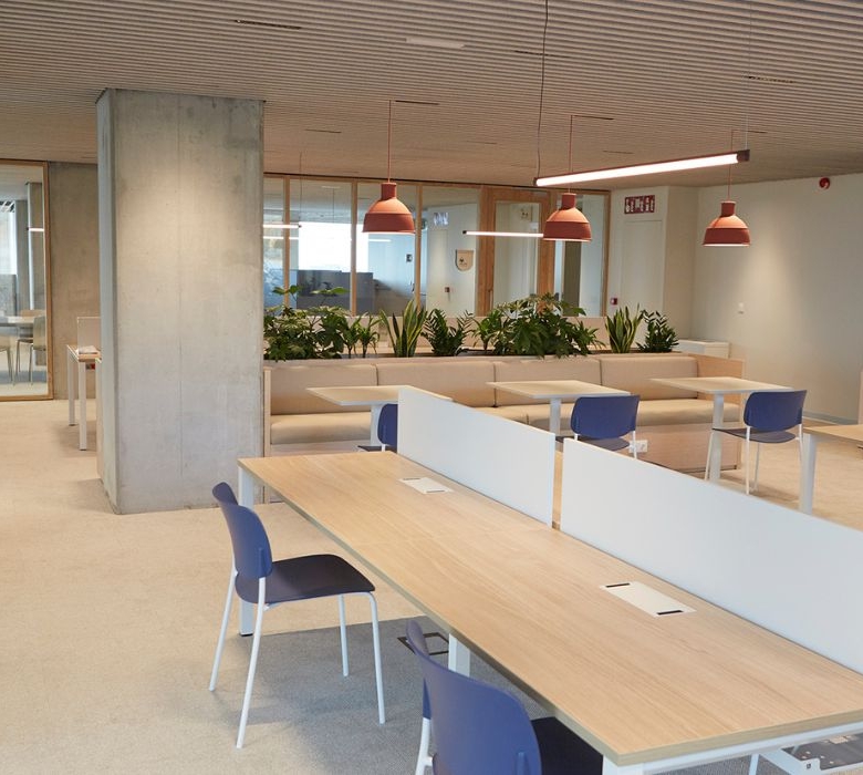aparto Diagonal Suites