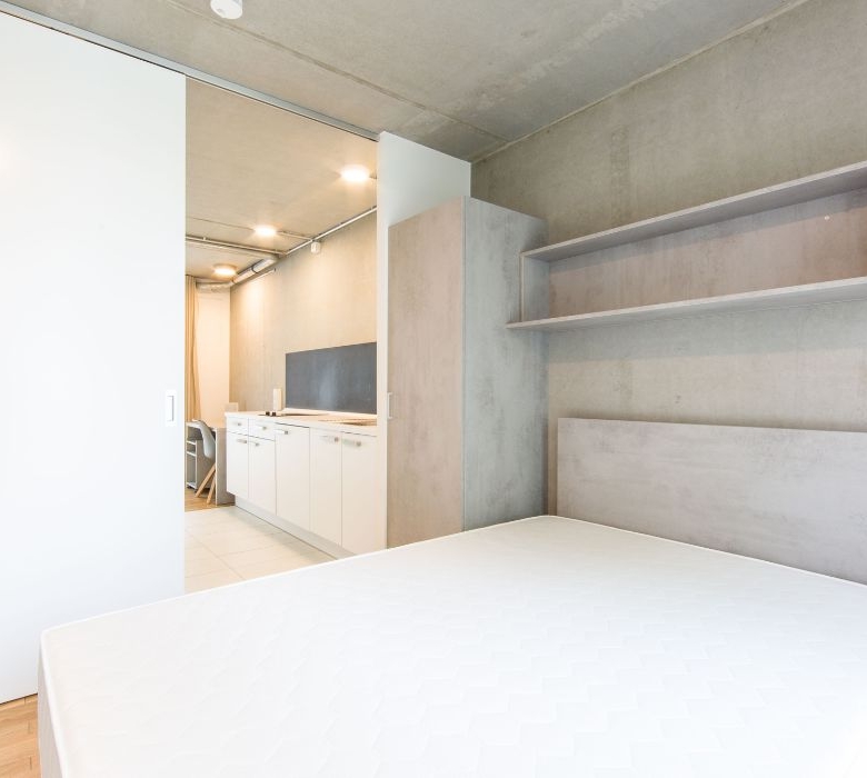 Residencia de Estudiantes 66 Monkeys Berlin Deulstrasse