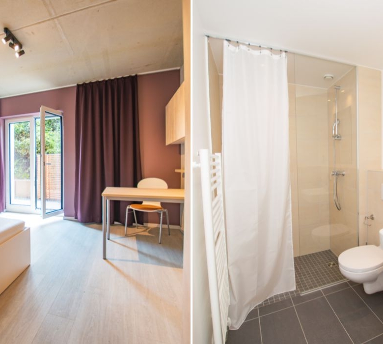 Residencia de Estudiantes 66 Monkeys Berlin Muhlenstrasse