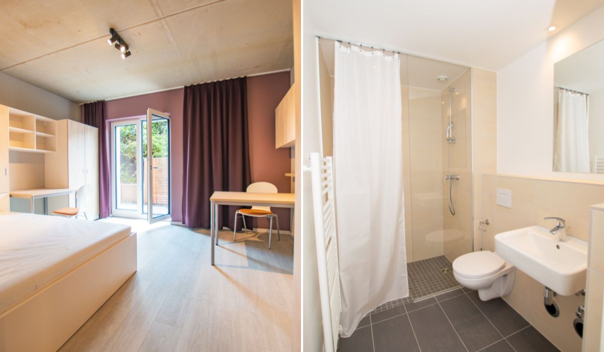 Residencia de Estudiantes 66 Monkeys Berlin Muhlenstrasse