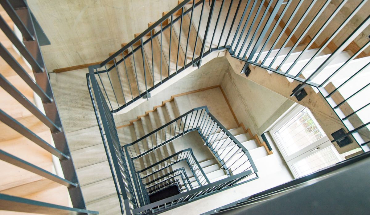Residencia de Estudiantes 66 Monkeys Berlin Muhlenstrasse