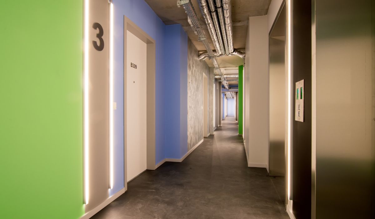 Residencia de Estudiantes 66 Monkeys Berlin Muhlenstrasse