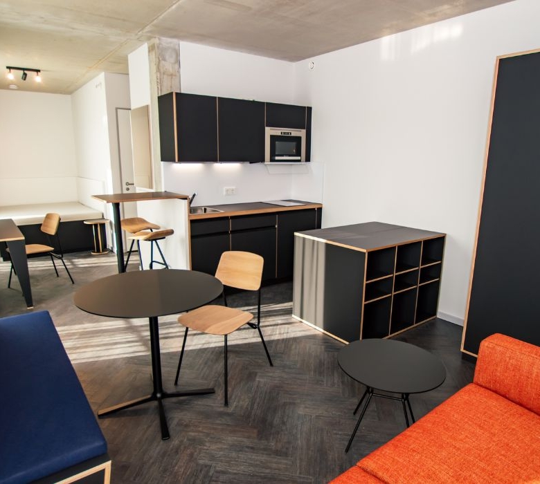 Residencia de Estudiantes 66 Monkeys Berlin Muhlenstrasse