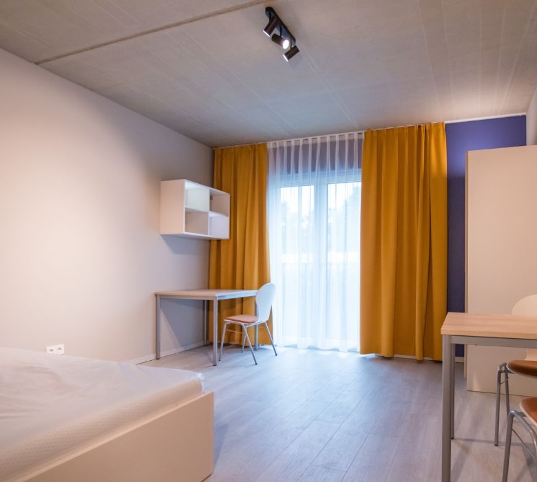 Residencia de Estudiantes 66 Monkeys Berlin Muhlenstrasse