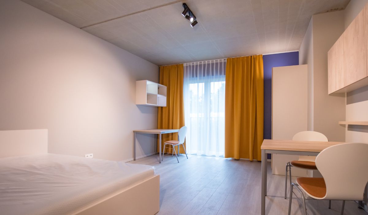 Residencia de Estudiantes 66 Monkeys Berlin Muhlenstrasse
