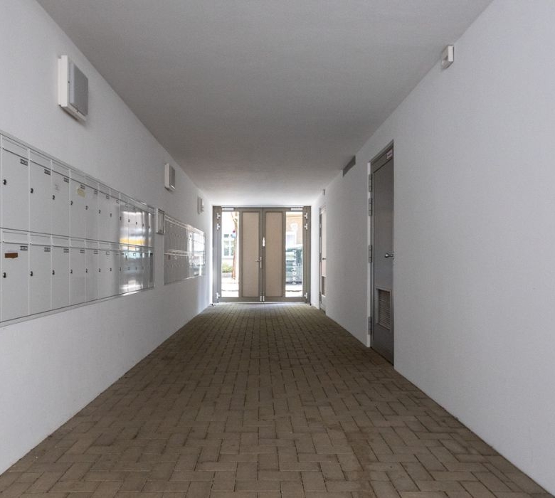 Residencia de Estudiantes 66 Monkeys Berlin Deulstrasse