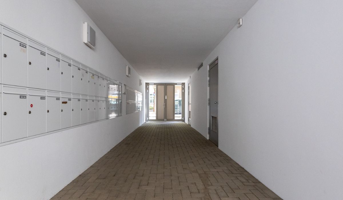Residencia de Estudiantes 66 Monkeys Berlin Deulstrasse
