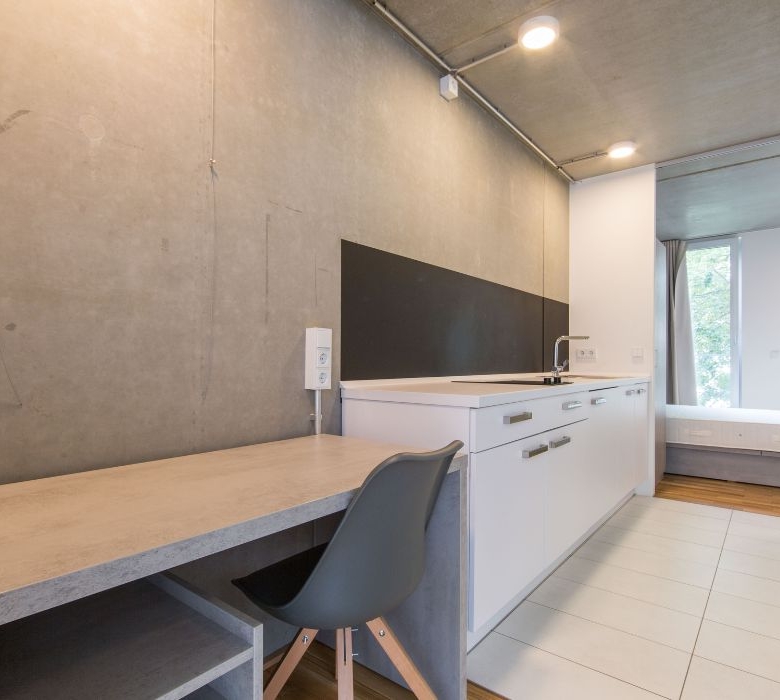 Residencia de Estudiantes 66 Monkeys Berlin Deulstrasse