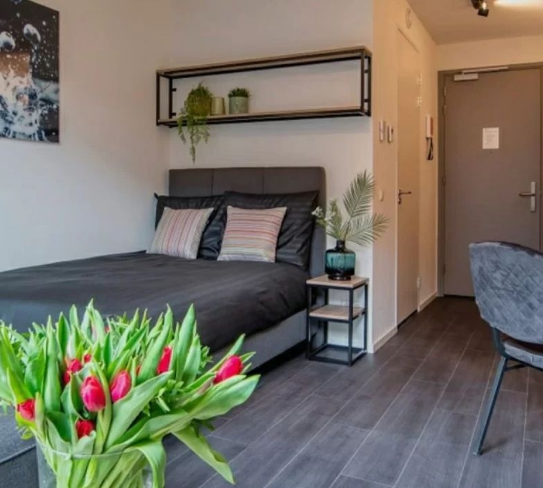 Residencia de estudiantes Student Experience Amsterdam Minervahaven