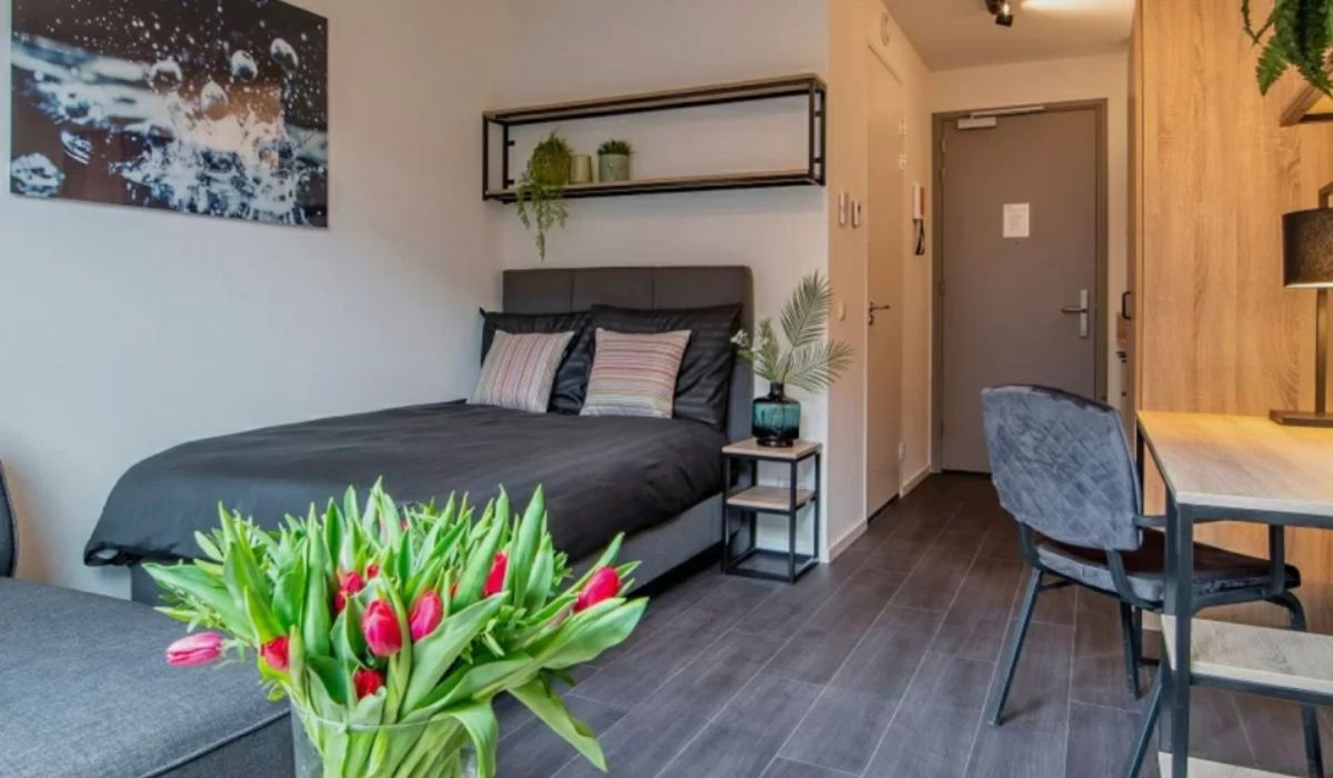 Residencia de estudiantes Student Experience Amsterdam Minervahaven